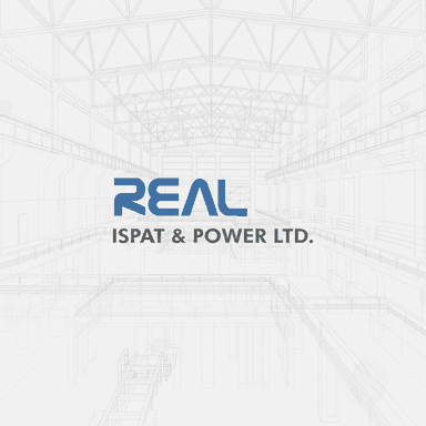Real Ispat & Power Ltd. logo